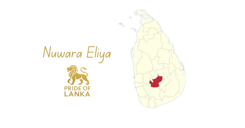 Nuwara Eliya: The Highlands, the Tea Country, and Sri Lanka’s Little England