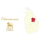 Polonnaruwa: The Stone Capital and the Triumph of a Hydraulic Civilization