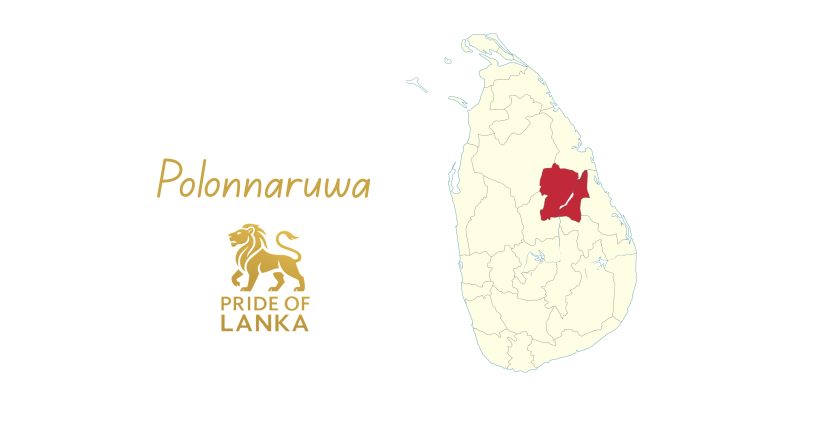 Polonnaruwa: The Stone Capital and the Triumph of a Hydraulic Civilization