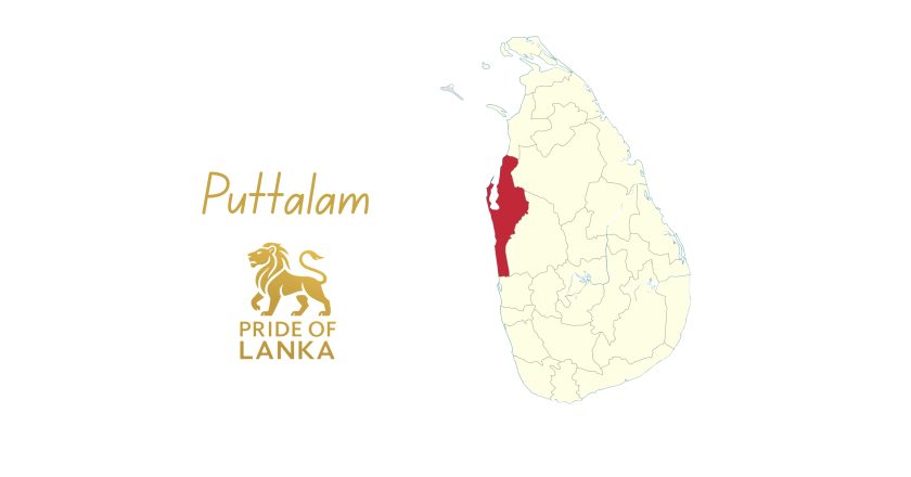 Puttalam: Lagoons, Salt Plains, and the Western Dry Zone Frontier
