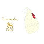 Trincomalee: The Harbor of History and the Blue Gateway of Sri Lanka