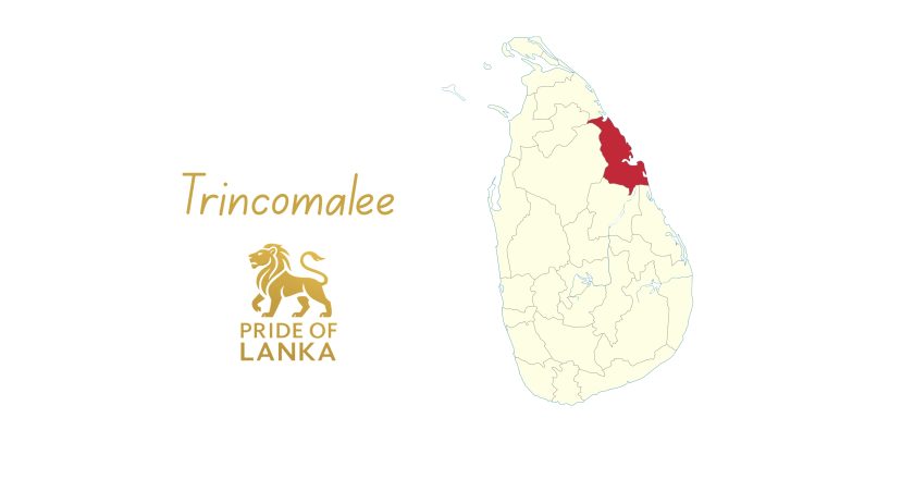 Trincomalee: The Harbor of History and the Blue Gateway of Sri Lanka