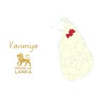 Vavuniya: The Northern Gateway and the Crossroads of Sri Lanka