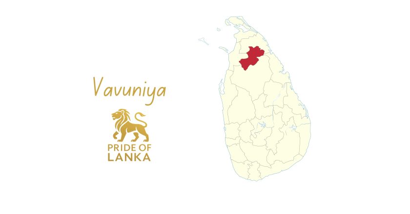 Vavuniya: The Northern Gateway and the Crossroads of Sri Lanka