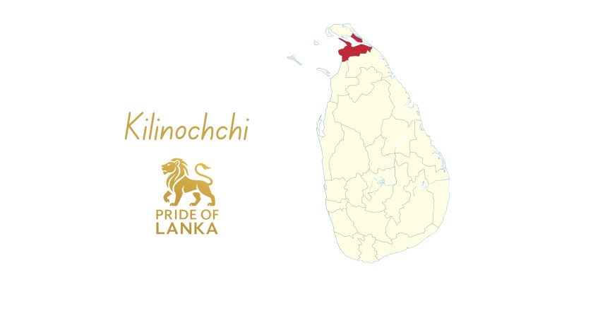 Kilinochchi: The Reclaimed Heart of the Northern Plains