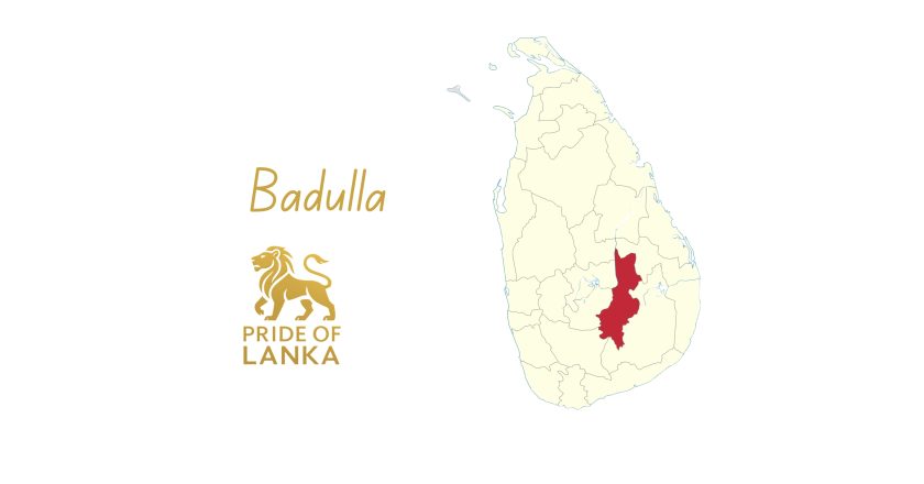 Badulla: The Green Heart of Uva and the Gateway to Sri Lanka’s Highlands