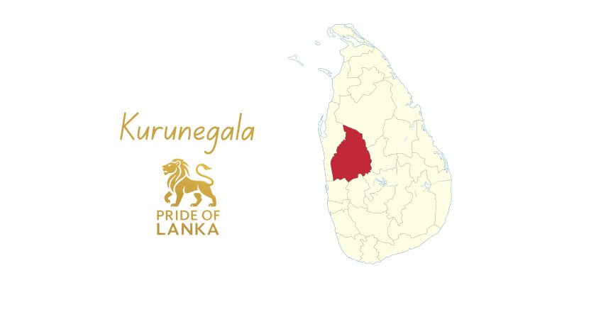 Kurunegala: The Rock City and the Granary of the Nation