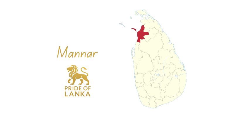Mannar: The Island, the Causeway, and the Crossroads of Civilizations