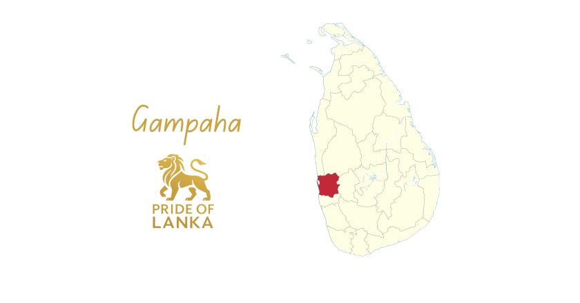 Gampaha: The Industrial and Living Heart of Western Sri Lanka