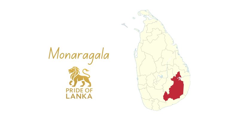 Monaragala: The Land of Forests, Fields, and the Eastern Frontier