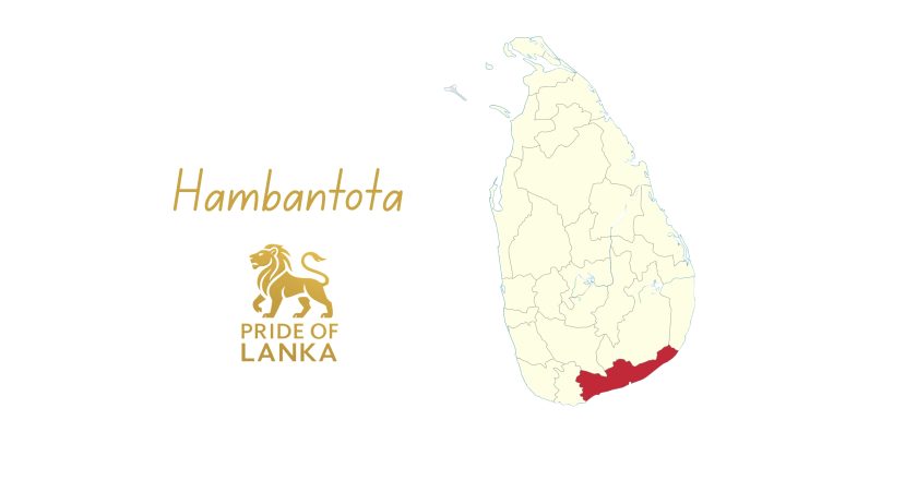 Hambantota: From Ancient Ruhuna to Sri Lanka’s Southern Gateway