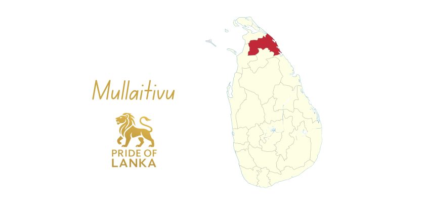 Mullaitivu: The Coast of Lagoons, Forests, and Quiet Renewal